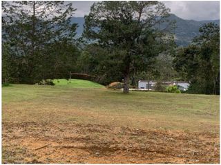 Foto 14 de Venta de Lote en la Vía San Antonio la Ceja, Ubicación y Aprovechable