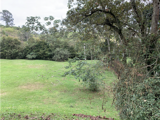 Foto 13 de Venta de Lote En Unidad Cerrada Via San Antonio La Ceja