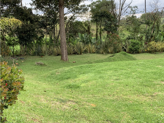 Foto 9 de Venta de Lote En Unidad Cerrada Via San Antonio La Ceja