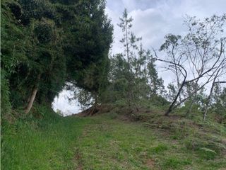 Foto 5 de Venta de Hermoso Lote en El Retiro en Reserva Natural Unidad Cerrada