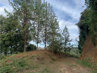 Foto 2 de Venta de Hermoso Lote en El Retiro en Reserva Natural Unidad Cerrada