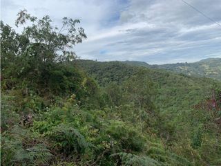 Foto 15 de Venta de Hermoso Lote en El Retiro en Reserva Natural Unidad Cerrada