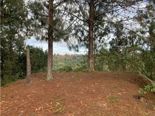 Foto 3 de Venta de Hermoso Lote en El Retiro en Reserva Natural Unidad Cerrada