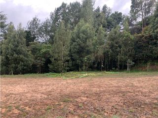 Foto 14 de Venta de Hermoso Lote en El Retiro en Reserva Natural Unidad Cerrada