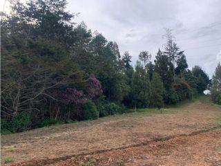 Foto 11 de Venta de Hermoso Lote en El Retiro en Reserva Natural Unidad Cerrada