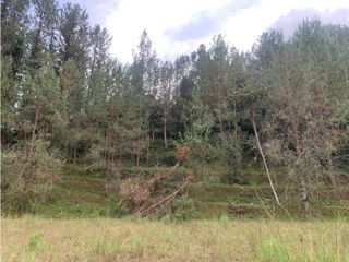 Foto 14 de Venta de Hermoso Lote en El Retiro en Reserva Natural Unidad Cerrada