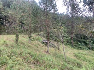 Foto 12 de Venta de Hermoso Lote en El Retiro en Reserva Natural Unidad Cerrada