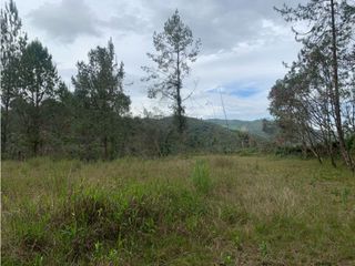 Foto 7 de Venta de Hermoso Lote en El Retiro en Reserva Natural Unidad Cerrada