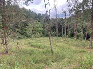 Foto 13 de Venta de Hermoso Lote en El Retiro en Reserva Natural Unidad Cerrada