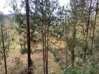 Foto 3 de Venta de Hermoso Lote en El Retiro en Reserva Natural Unidad Cerrada