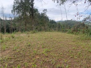 Foto 8 de Venta de Hermoso Lote en El Retiro en Reserva Natural Unidad Cerrada