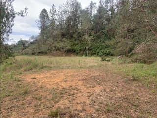 Foto 1 de Venta de Hermoso Lote en El Retiro en Reserva Natural Unidad Cerrada