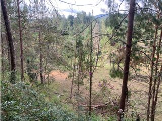 Foto 4 de Venta de Hermoso Lote en El Retiro en Reserva Natural Unidad Cerrada