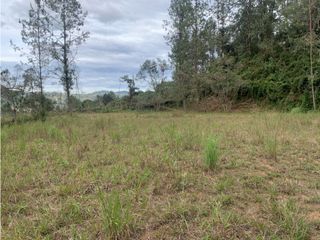 Foto 6 de Venta de Hermoso Lote en El Retiro en Reserva Natural Unidad Cerrada