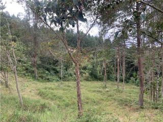 Foto 11 de Venta de Hermoso Lote en El Retiro en Reserva Natural Unidad Cerrada