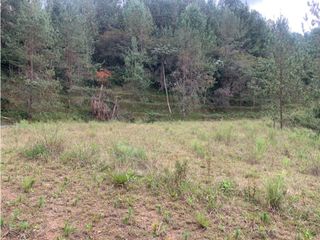 Foto 9 de Venta de Hermoso Lote en El Retiro en Reserva Natural Unidad Cerrada