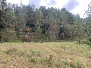 Foto 10 de Venta de Hermoso Lote en El Retiro en Reserva Natural Unidad Cerrada