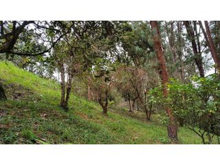 Foto 12 de Hermoso Lote En Venta Cerca al Aeropuerto Exclusiva Parcelación