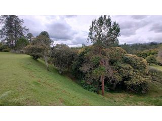 Foto 33 de Hermoso Lote En Venta Cerca al Aeropuerto Exclusiva Parcelación