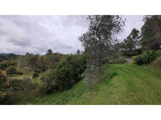 Foto 35 de Hermoso Lote En Venta Cerca al Aeropuerto Exclusiva Parcelación