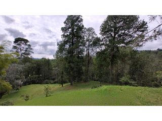 Foto 3 de Hermoso Lote En Venta Cerca al Aeropuerto Exclusiva Parcelación
