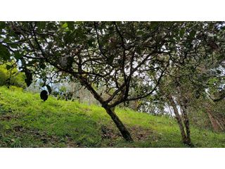 Foto 11 de Hermoso Lote En Venta Cerca al Aeropuerto Exclusiva Parcelación
