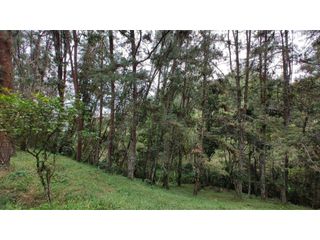 Foto 14 de Hermoso Lote En Venta Cerca al Aeropuerto Exclusiva Parcelación