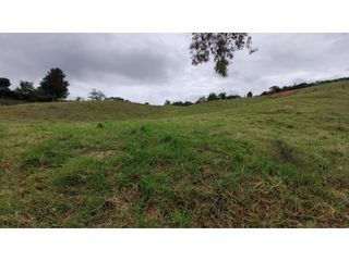 Foto 5 de Venta de Lote Independiente en La Ceja, Sector el Capiro