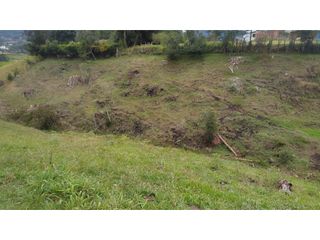 Foto 6 de Venta de Lote Independiente en La Ceja, Sector el Capiro