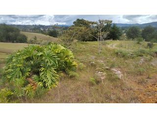 Foto 6 de Venta de Lote Independiente en La Ceja, Sector el Capiro