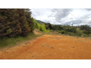Foto 4 de Venta de Lote Independiente en La Ceja, Sector el Capiro