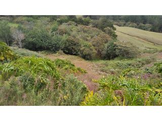Foto 8 de Venta de Lote Independiente en La Ceja, Sector el Capiro