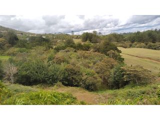 Foto 6 de Venta de Lote Independiente en La Ceja, Sector el Capiro