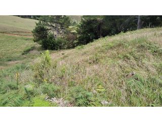 Foto 4 de Venta de Lote Independiente en La Ceja, Sector el Capiro