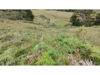 Foto 3 de Venta de Lote Independiente en La Ceja, Sector el Capiro