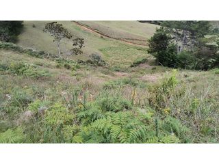 Foto 2 de Venta de Lote Independiente en La Ceja, Sector el Capiro