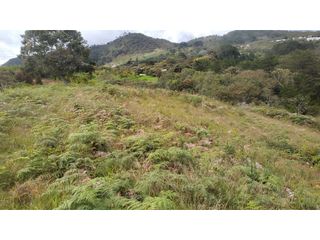 Foto 5 de Venta de Lote Independiente en La Ceja, Sector el Capiro