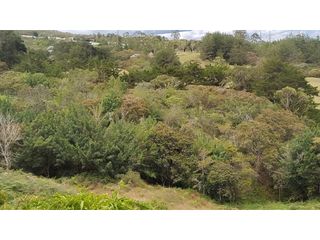 Foto 7 de Venta de Lote Independiente en La Ceja, Sector el Capiro