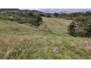 Foto 1 de Venta de Lote Independiente en La Ceja, Sector el Capiro