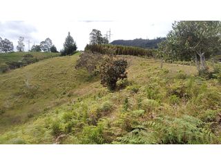 Foto 2 de Venta de Lote Independiente en La Ceja, Sector el Capiro