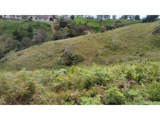 Foto 3 de Venta de Lote Independiente en La Ceja, Sector el Capiro