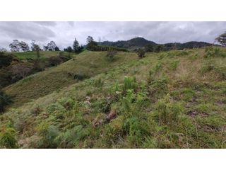 Foto 6 de Venta de Lote Independiente en La Ceja, Sector el Capiro