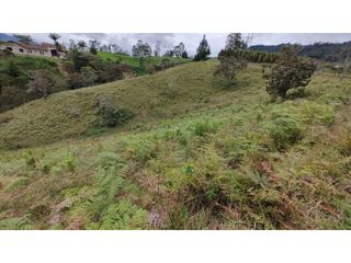 Foto 4 de Venta de Lote Independiente en La Ceja, Sector el Capiro
