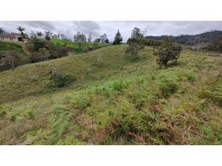 Foto 5 de Venta de Lote Independiente en La Ceja, Sector el Capiro