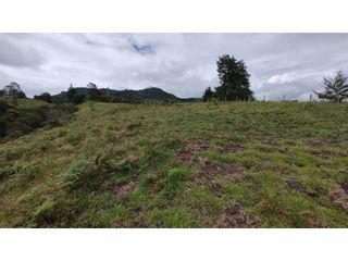 Foto 5 de Venta de Lote Independiente en La Ceja, Sector el Capiro