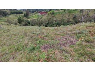 Foto 6 de Venta de Lote Independiente en La Ceja, Sector el Capiro