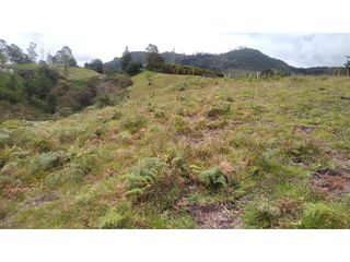 Foto 2 de Venta de Lote Independiente en La Ceja, Sector el Capiro