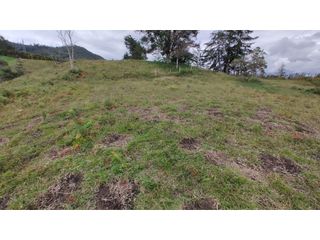 Foto 8 de Venta de Lote Independiente en La Ceja, Sector el Capiro