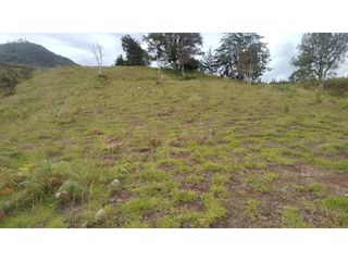Foto 3 de Venta de Lote Independiente en La Ceja, Sector el Capiro