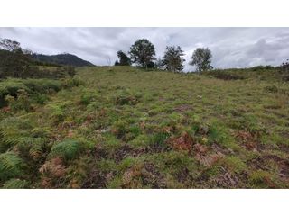 Foto 7 de Venta de Lote Independiente en La Ceja, Sector el Capiro